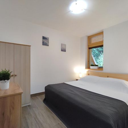 Hojsova Straz Brcalnik Apartman Hannzi Železná Ruda Buitenkant foto